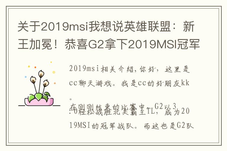 关于2019msi我想说英雄联盟：新王加冕！恭喜G2拿下2019MSI冠军
