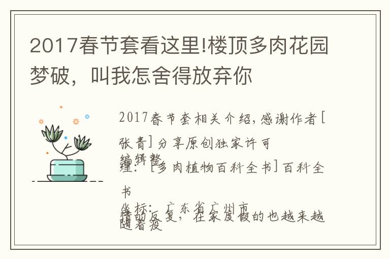2017春节套看这里!楼顶多肉花园梦破，叫我怎舍得放弃你