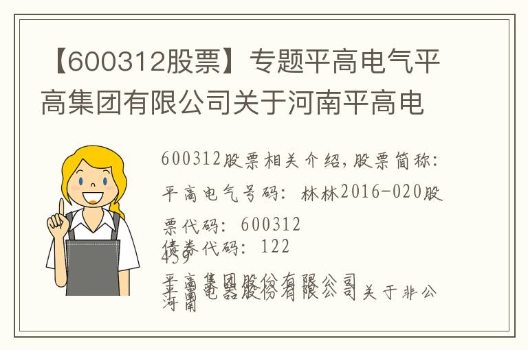 【600312股票】专题平高电气平高集团有限公司关于河南平高电气股份有限公司非公开发行股票摊薄即期回报采取填补措施的承诺的公