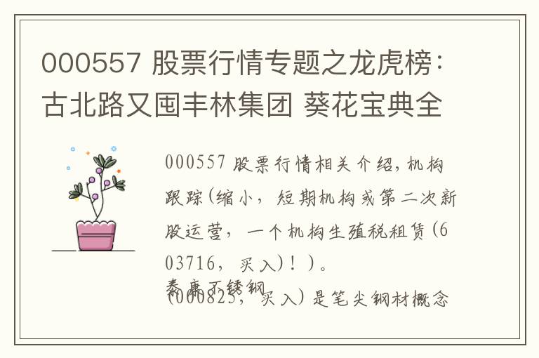 000557 股票行情专题之龙虎榜：古北路又囤丰林集团 葵花宝典全程拉西部创业