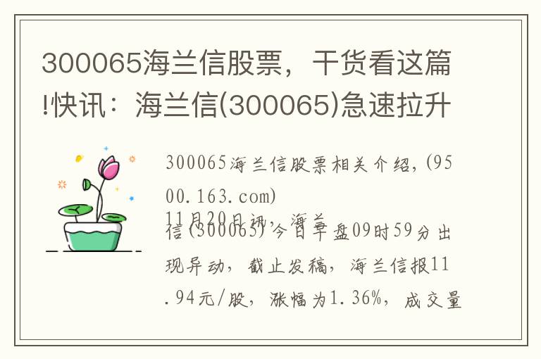 300065海兰信股票，干货看这篇!快讯：海兰信(300065)急速拉升