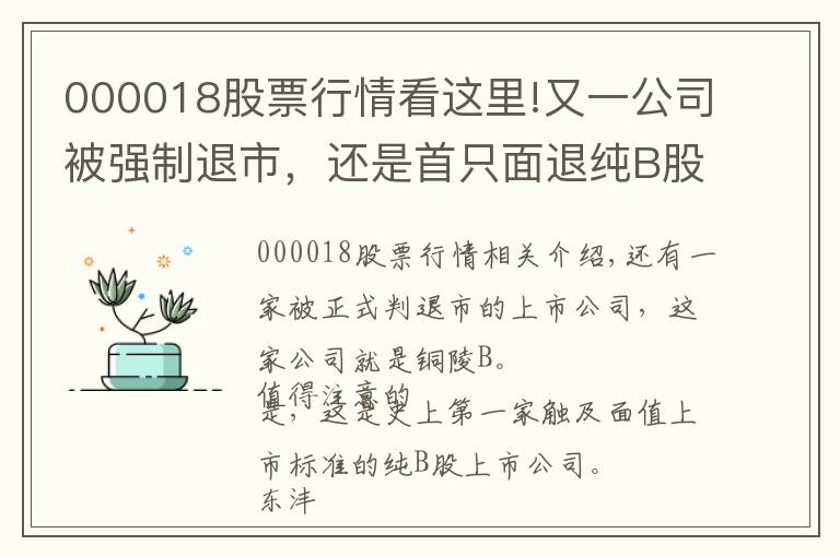 000018股票行情看这里!又一公司被强制退市，还是首只面退纯B股！数度自救未成，1.7万东沣B股东踩雷
