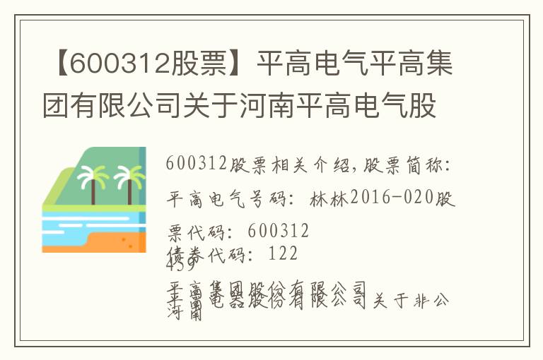 【600312股票】平高电气平高集团有限公司关于河南平高电气股份有限公司非公开发行股票摊薄即期回报采取填补措施的承诺的公