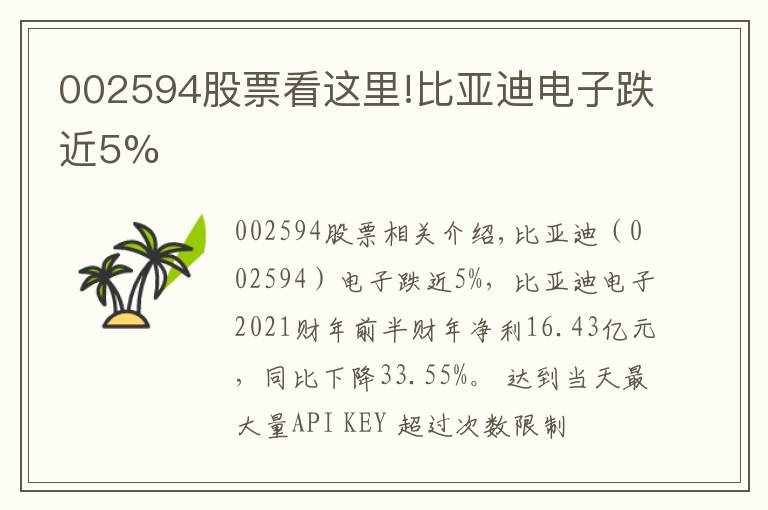 002594股票看这里!比亚迪电子跌近5%