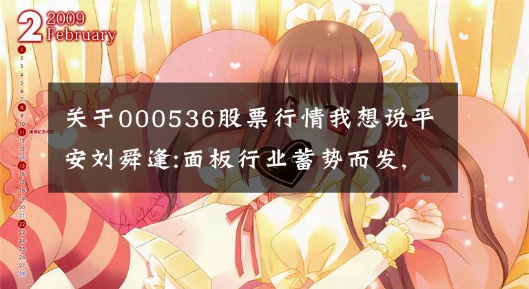 关于000536股票行情我想说平安刘舜逢:面板行业蓄势而发,一鸣惊人