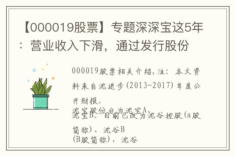 【000019股票】专题深深宝这5年：营业收入下滑，通过发行股份收购深粮，将走向哪？