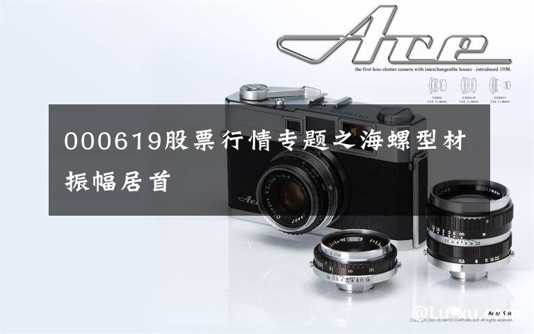 000619股票行情专题之海螺型材振幅居首