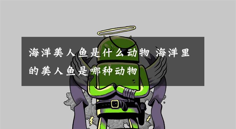 海洋美人鱼是什么动物 海洋里的美人鱼是哪种动物