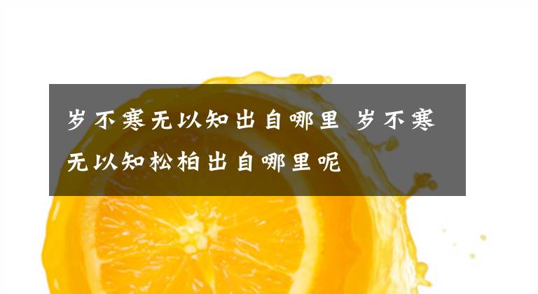 岁不寒无以知出自哪里 岁不寒无以知松柏出自哪里呢