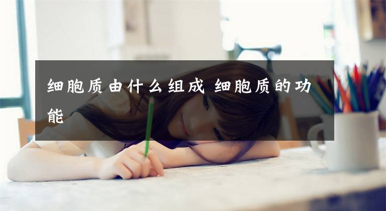 细胞质由什么组成 细胞质的功能