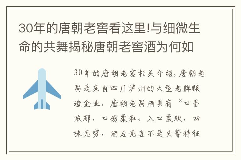 30年的唐朝老窖看这里!与细微生命的共舞揭秘唐朝老窖酒为何如此迷人