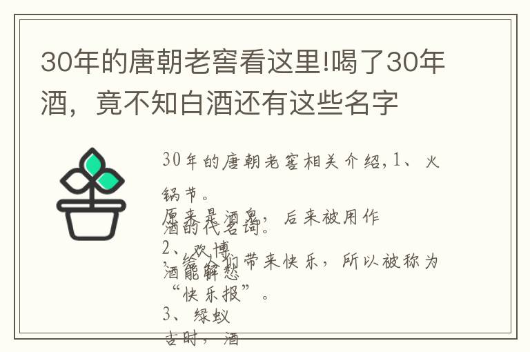 30年的唐朝老窖看这里!喝了30年酒，竟不知白酒还有这些名字