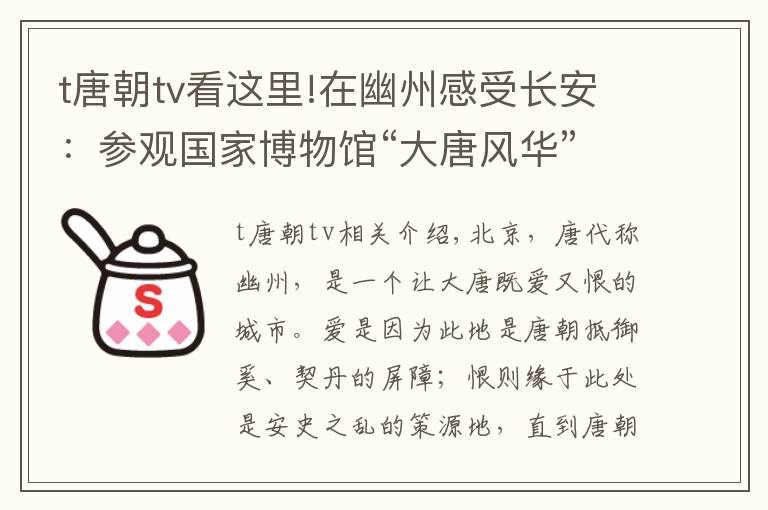 t唐朝tv看这里!在幽州感受长安：参观国家博物馆“大唐风华”展