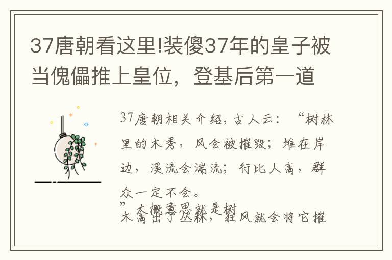 37唐朝看这里!装傻37年的皇子被当傀儡推上皇位，登基后第一道圣旨，让百官胆寒