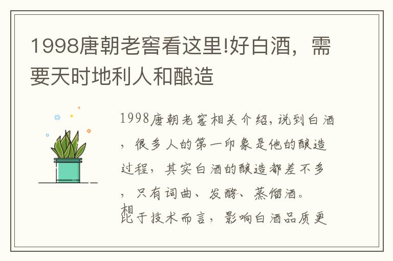 1998唐朝老窖看这里!好白酒，需要天时地利人和酿造