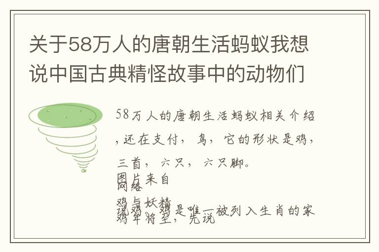 关于58万人的唐朝生活蚂蚁我想说中国古典精怪故事中的动物们：鸡精、虾精、猩猩精……