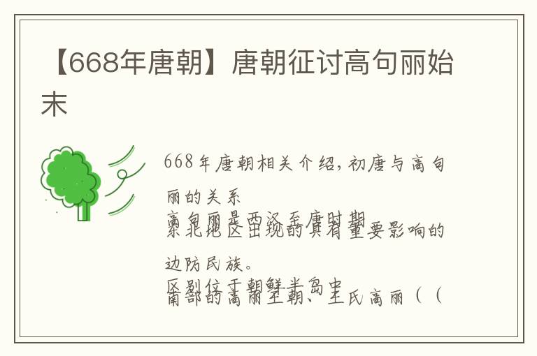 【668年唐朝】唐朝征讨高句丽始末