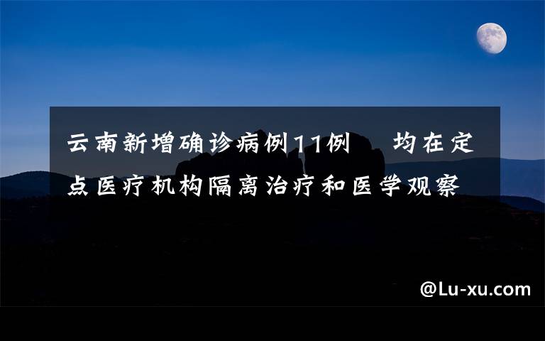 云南新增确诊病例11例  均在定点医疗机构隔离治疗和医学观察 目前是什么情况？