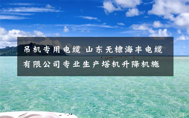 吊机专用电缆 山东无棣海丰电缆有限公司专业生产塔机升降机施工电梯专用电缆，施工吊篮专用电缆！电缆、具有全国独一份塔