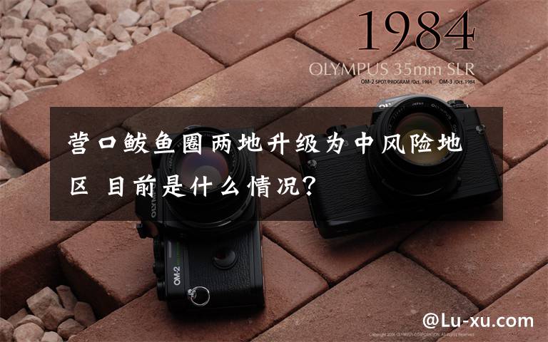 营口鲅鱼圈两地升级为中风险地区 目前是什么情况？