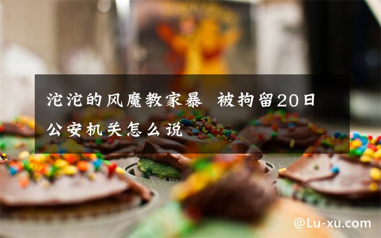 沱沱的风魔教家暴  被拘留20日公安机关怎么说
