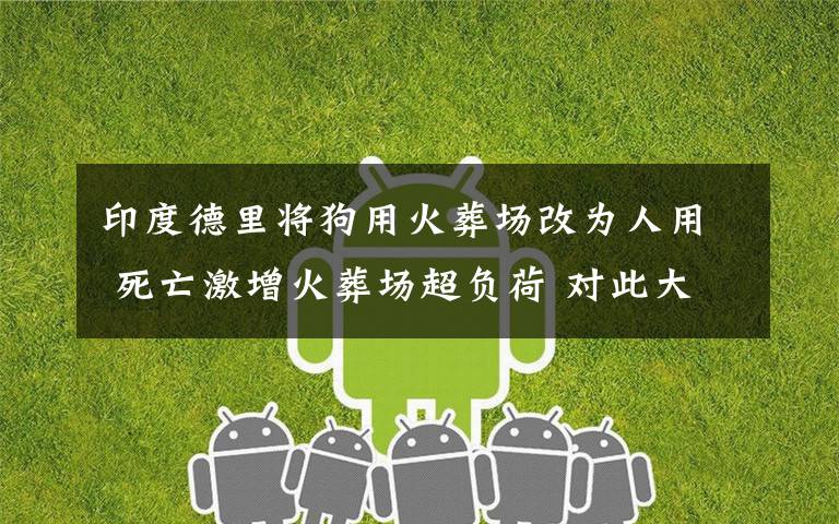 印度德里将狗用火葬场改为人用 死亡激增火葬场超负荷 对此大家怎么看？