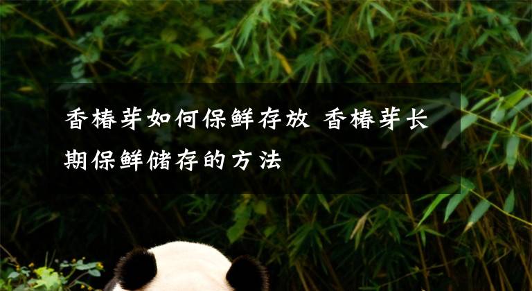 香椿芽如何保鲜存放 香椿芽长期保鲜储存的方法