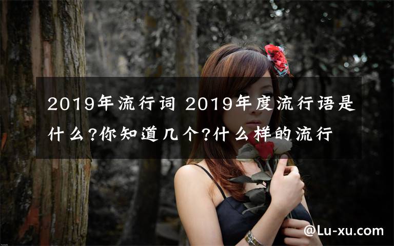 2019年流行词 2019年度流行语是什么?你知道几个?什么样的流行语能入选?