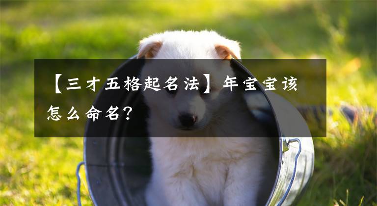 【三才五格起名法】年宝宝该怎么命名？