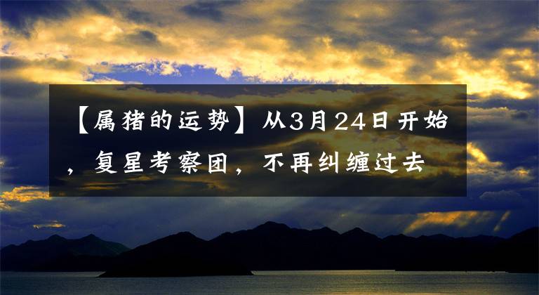 【属猪的运势】从3月24日开始，复星考察团，不再纠缠过去，重新出发的三大生肖。
