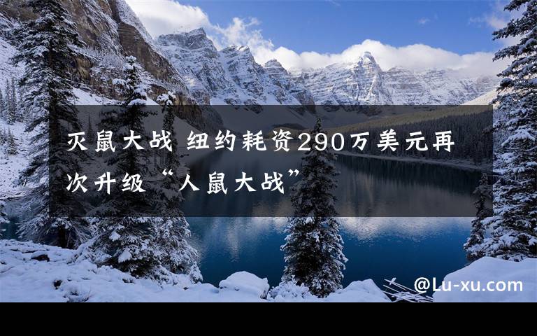 灭鼠大战 纽约耗资290万美元再次升级“人鼠大战”