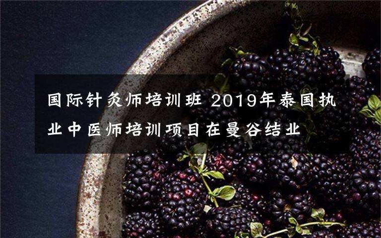 国际针灸师培训班 2019年泰国执业中医师培训项目在曼谷结业