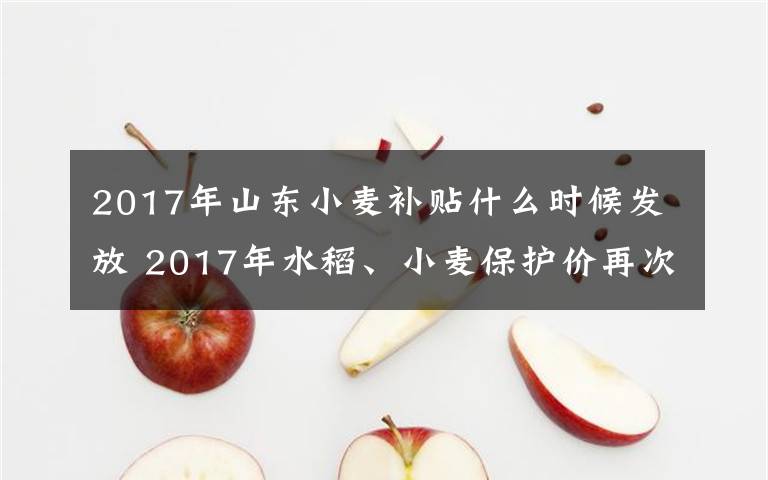 2017年山东小麦补贴什么时候发放 2017年水稻、小麦保护价再次正式公布，玉米、大豆补贴多少还在传说