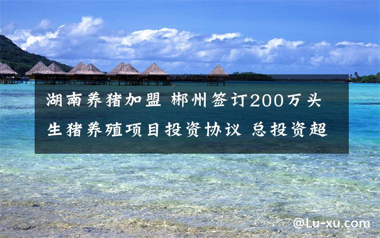 湖南养猪加盟 郴州签订200万头生猪养殖项目投资协议 总投资超46亿元