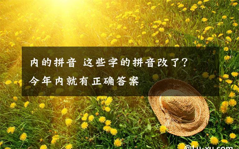 内的拼音 这些字的拼音改了？ 今年内就有正确答案