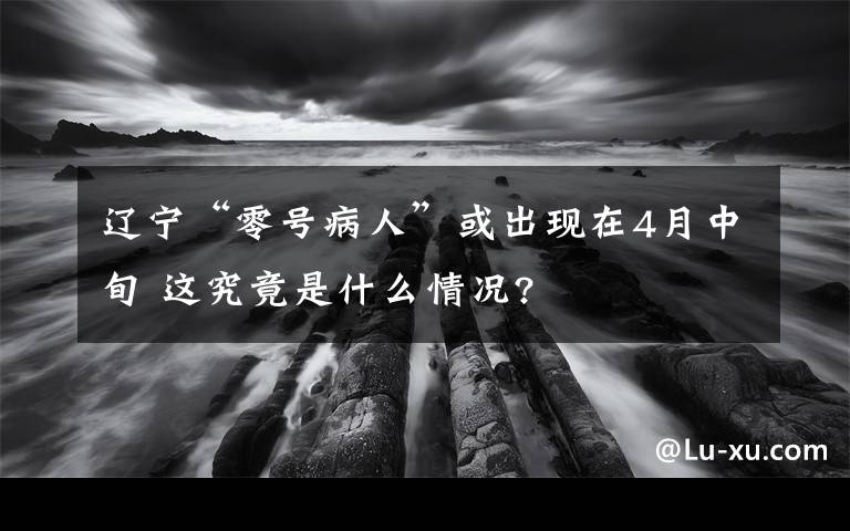 辽宁“零号病人”或出现在4月中旬 这究竟是什么情况?