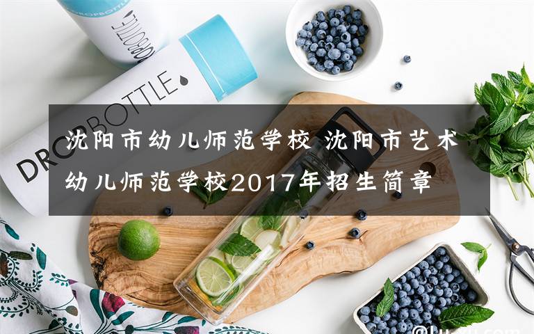沈阳市幼儿师范学校 沈阳市艺术幼儿师范学校2017年招生简章