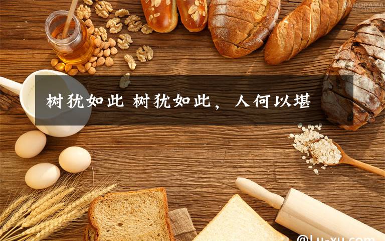 树犹如此 树犹如此，人何以堪