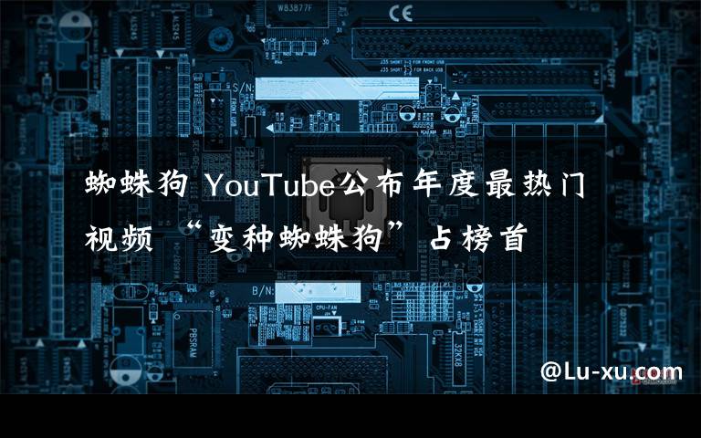 蜘蛛狗 YouTube公布年度最热门视频 “变种蜘蛛狗”占榜首