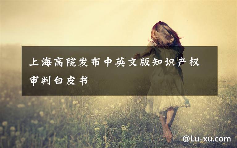上海高院发布中英文版知识产权审判白皮书