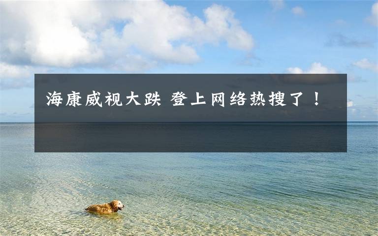 海康威视大跌 登上网络热搜了！