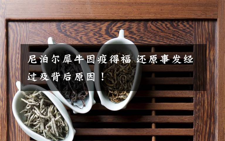 尼泊尔犀牛因疫得福 还原事发经过及背后原因！
