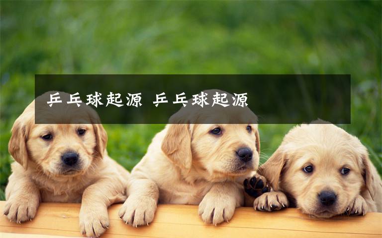 乒乓球起源 乒乓球起源