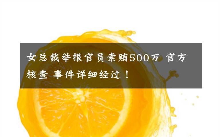 女总裁举报官员索贿500万 官方核查 事件详细经过！