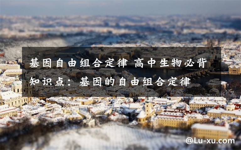 基因自由组合定律 高中生物必背知识点：基因的自由组合定律
