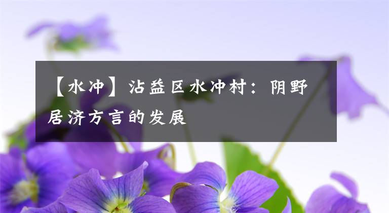 【水冲】沾益区水冲村：阴野居济方言的发展