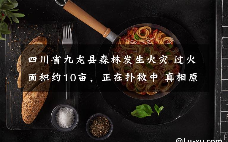 四川省九龙县森林发生火灾 过火面积约10亩，正在扑救中 真相原来是这样！