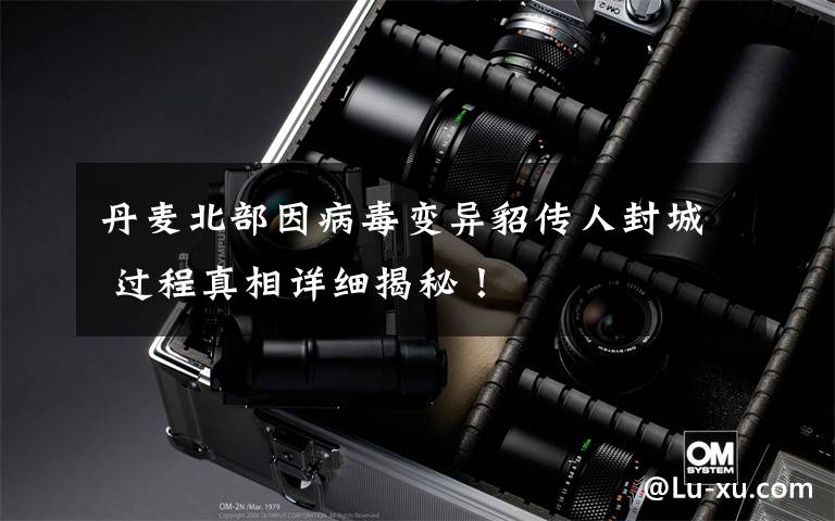 丹麦北部因病毒变异貂传人封城 过程真相详细揭秘！
