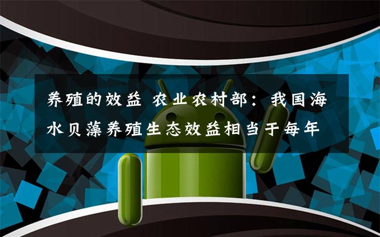 养殖的效益 农业农村部：我国海水贝藻养殖生态效益相当于每年造林50万公顷