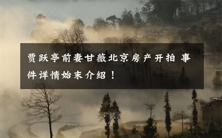 贾跃亭前妻甘薇北京房产开拍 事件详情始末介绍！